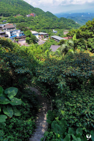 P6230596-s